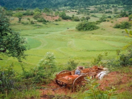 အသုံးပြုခြင်းမရှိသော မြေများကို စစ်ဆေးပြီးမှ သိမ်းဆည်မှုများပြုလုပ်သွားမည်